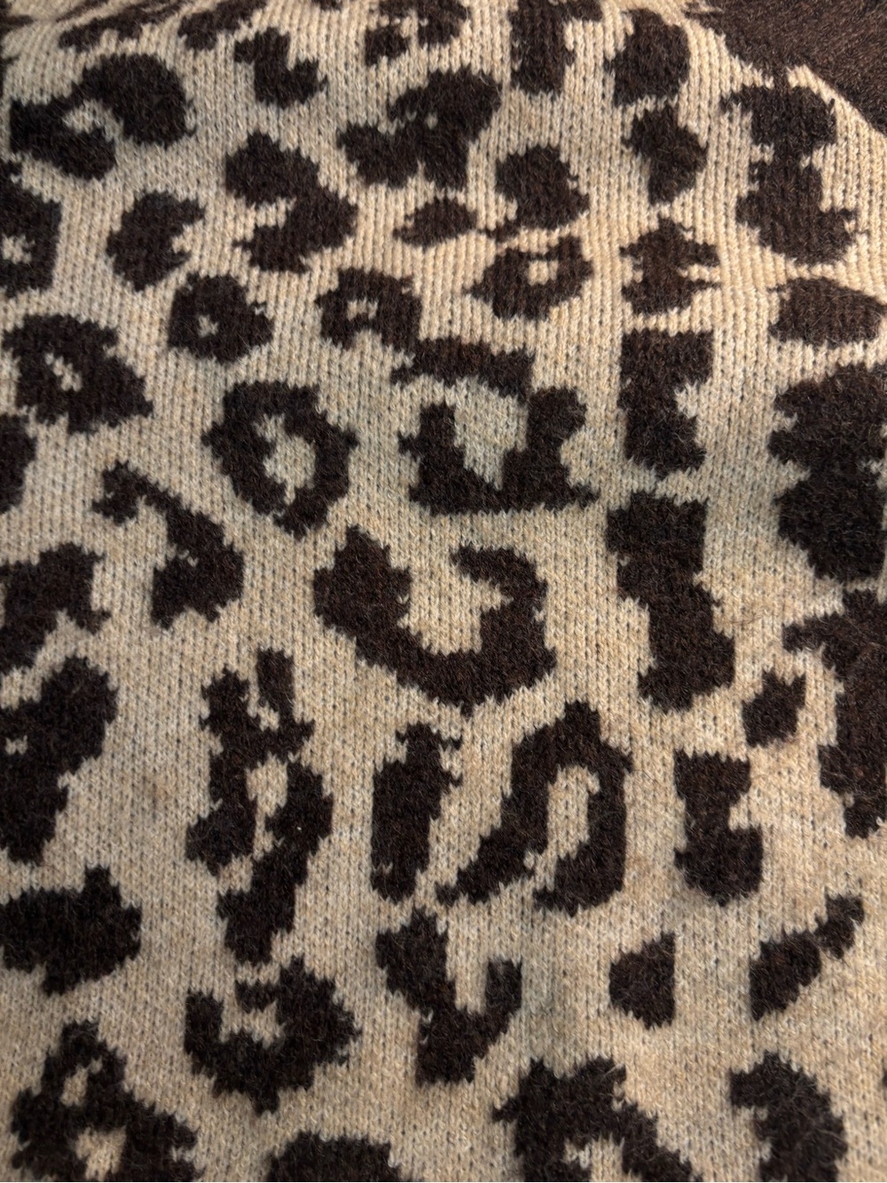 VENUS Cream & Brown Leopard-Print Off-Shoulder Sweater - Picture 2 of 5